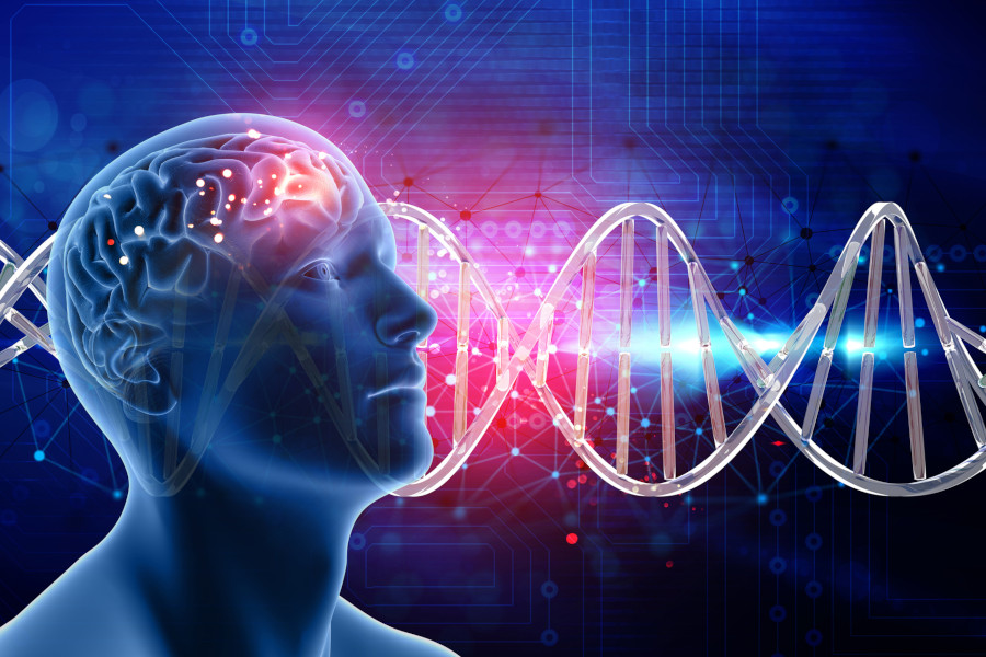 3D medical background with male head and brain on DNA strands