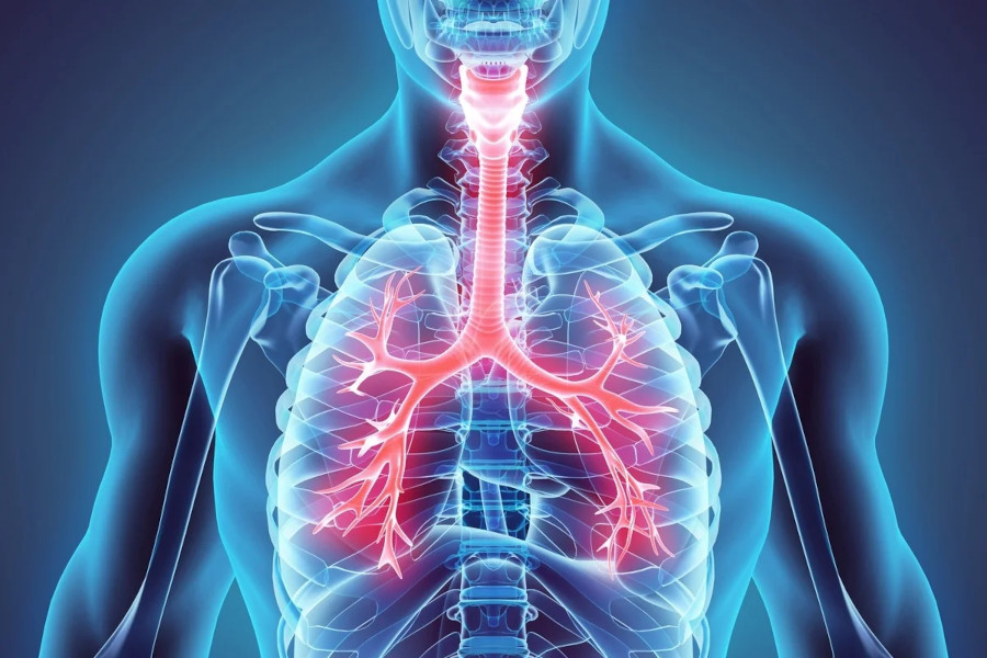disease_respiratory